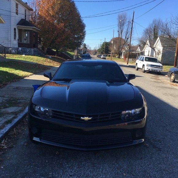 Meet your Posher, Christopher - Picture 16 of 16